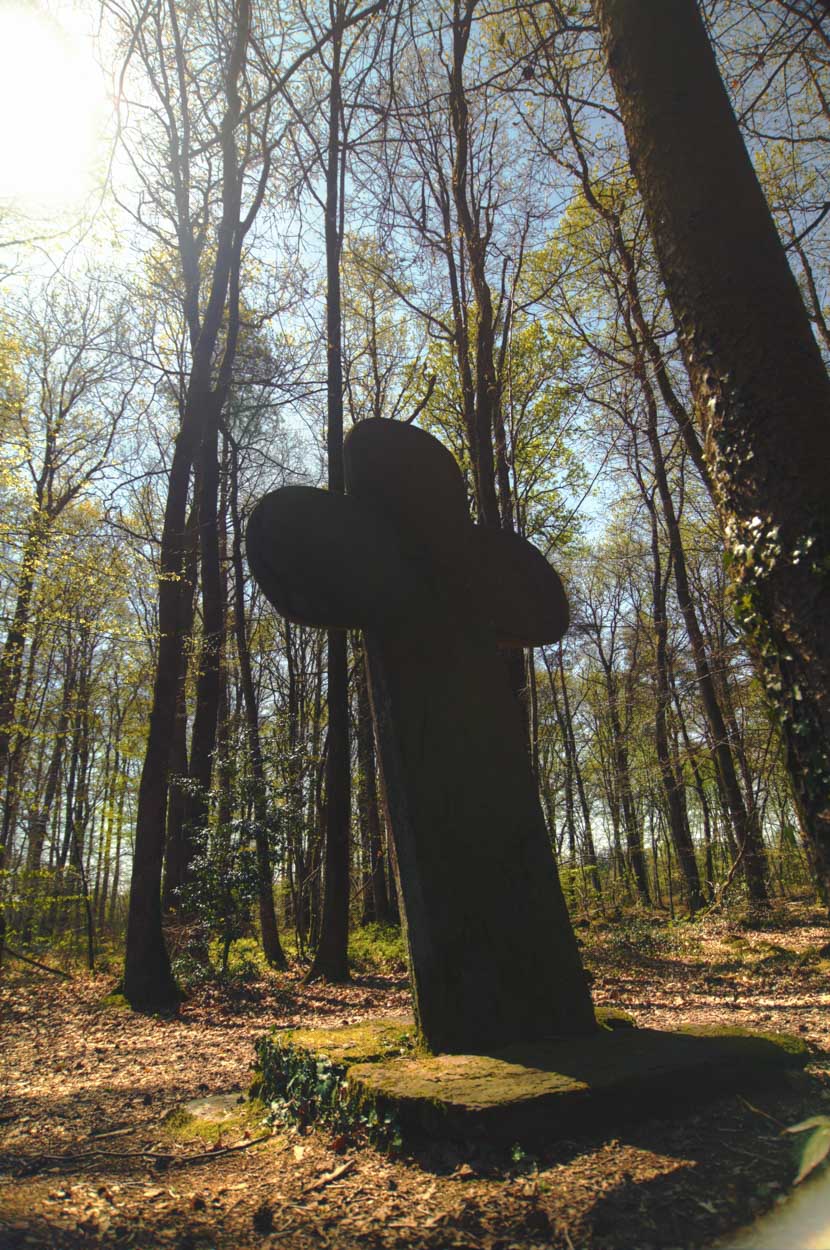 IMG 9487 8 9 tonemapped