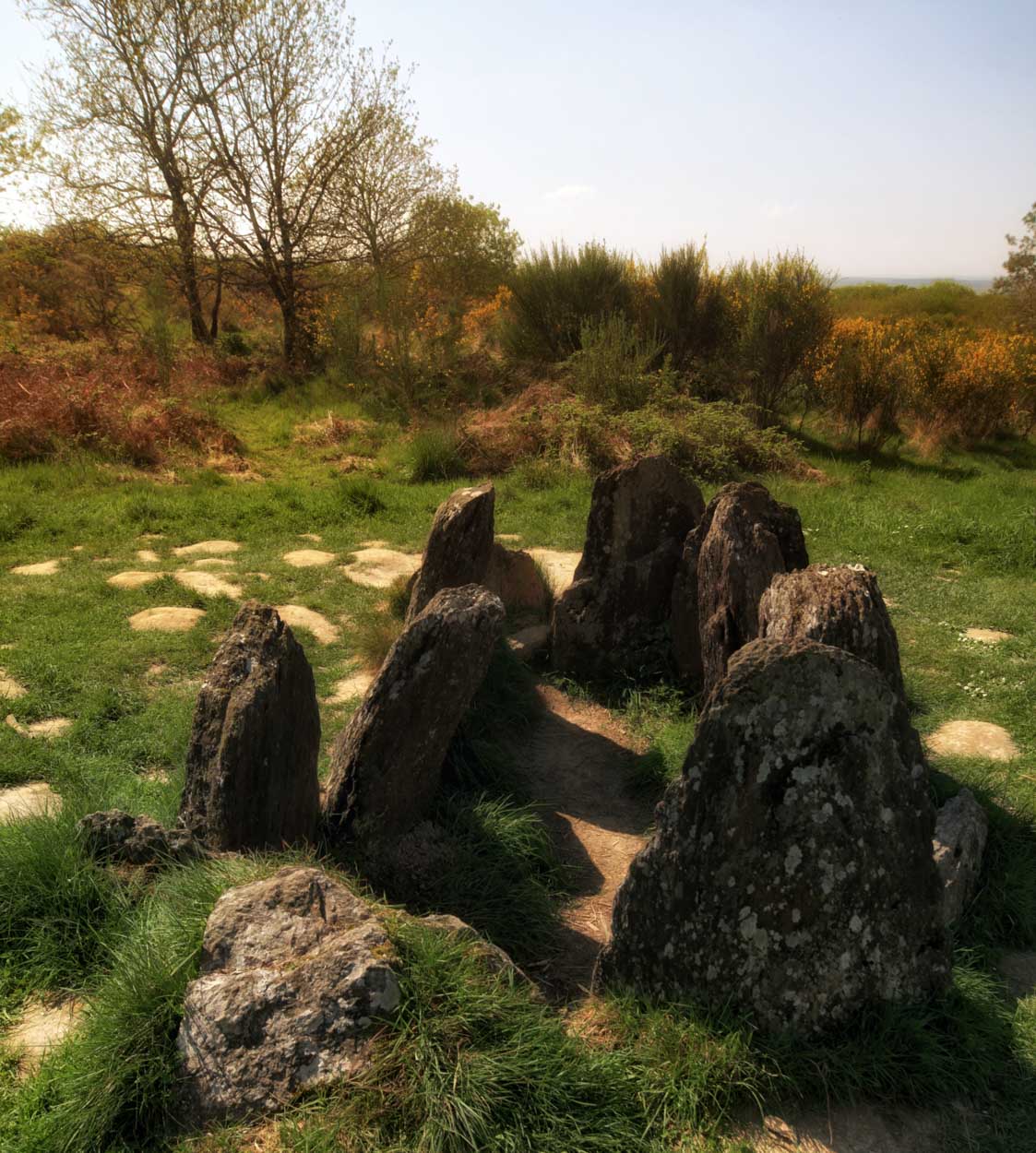 IMG 9514 5 6 tonemapped