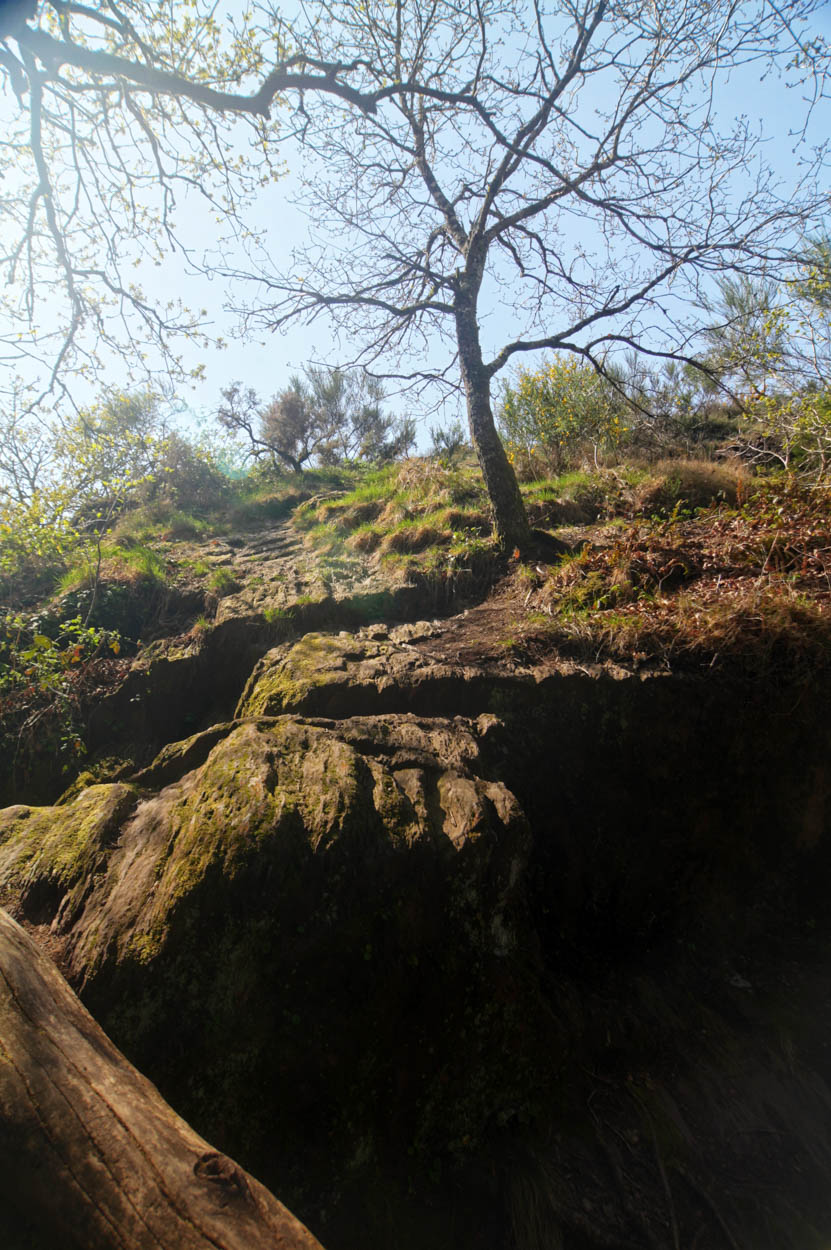 IMG 9552 3 4 tonemapped