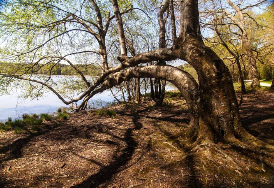 D547CF5D 8B33 4808 87D9 6346CC1A1612